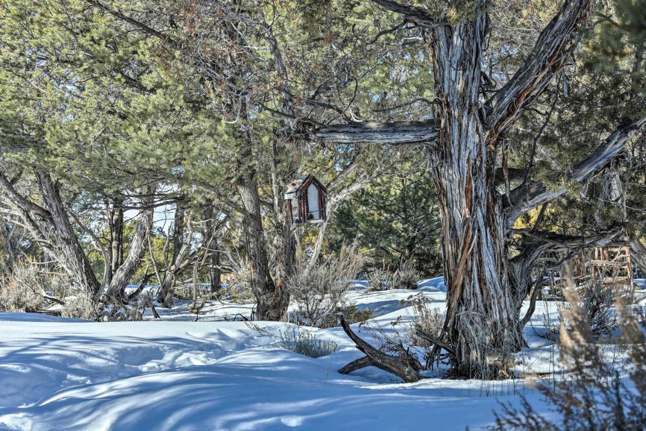 Eagles Landing A Quiet Colorado Mountain Escape Exterior foto